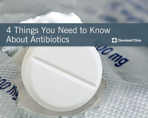 4 Important Facts You Need to Know About Antibiotics.